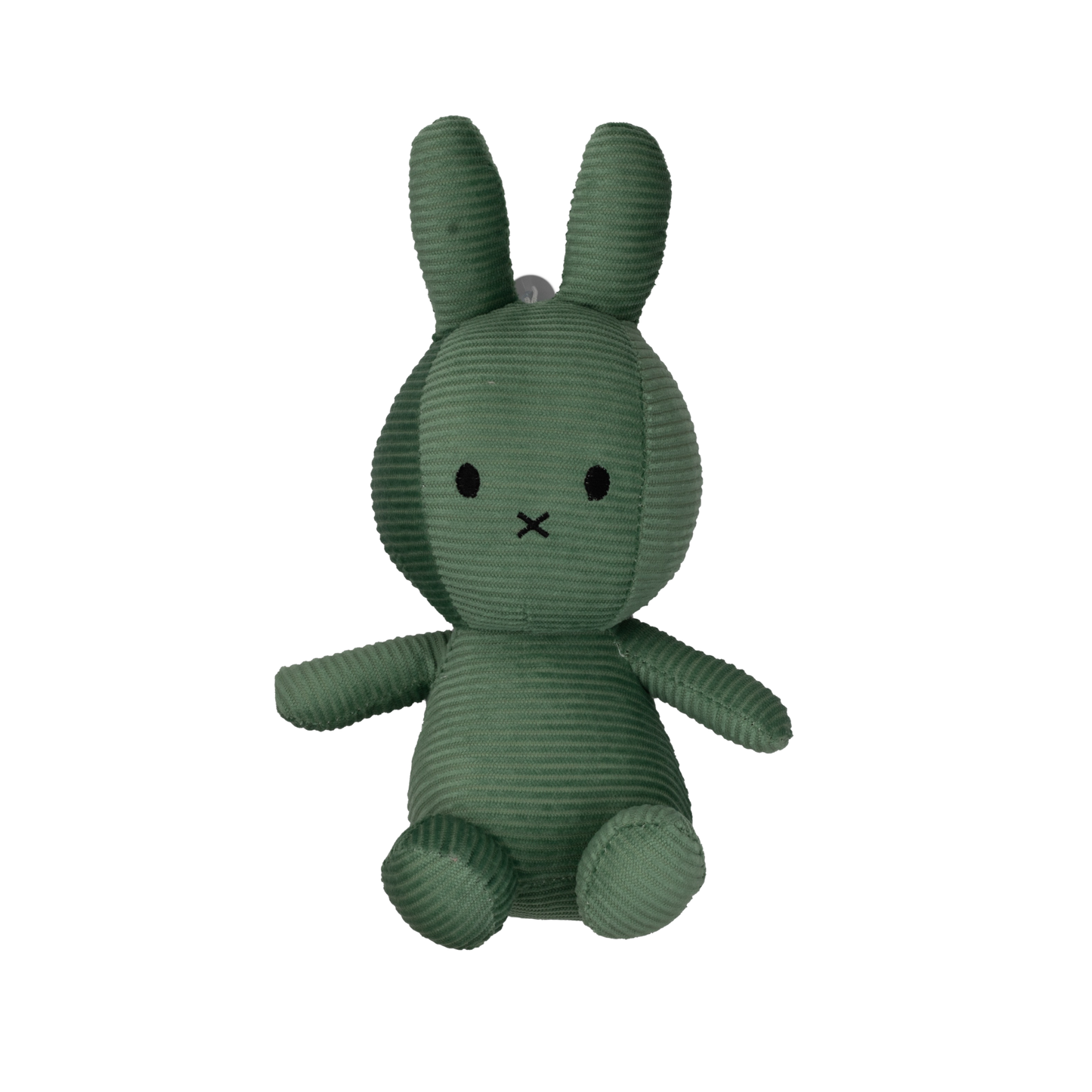 Green Teddy Bear