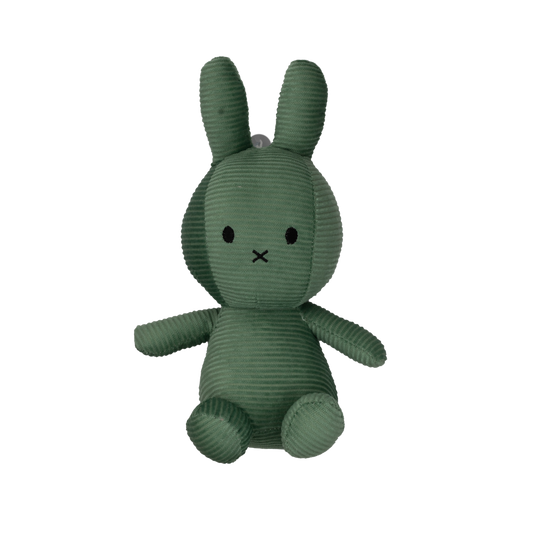 Green Teddy Bear